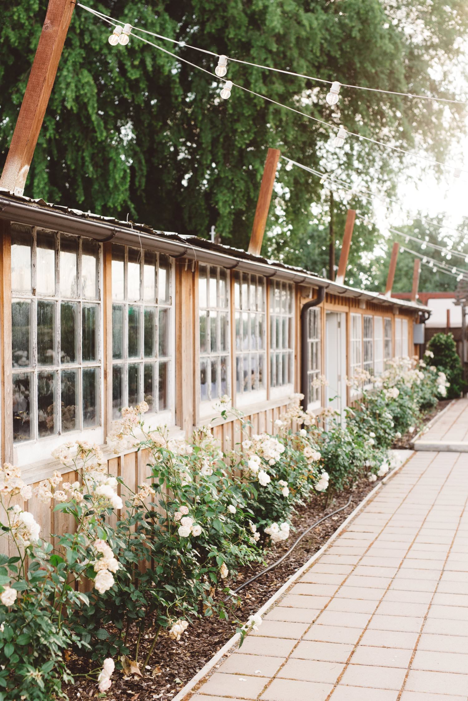 Historic Seven Sycamores Ranch wedding reception